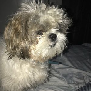 Meet your Posher, Yolanda